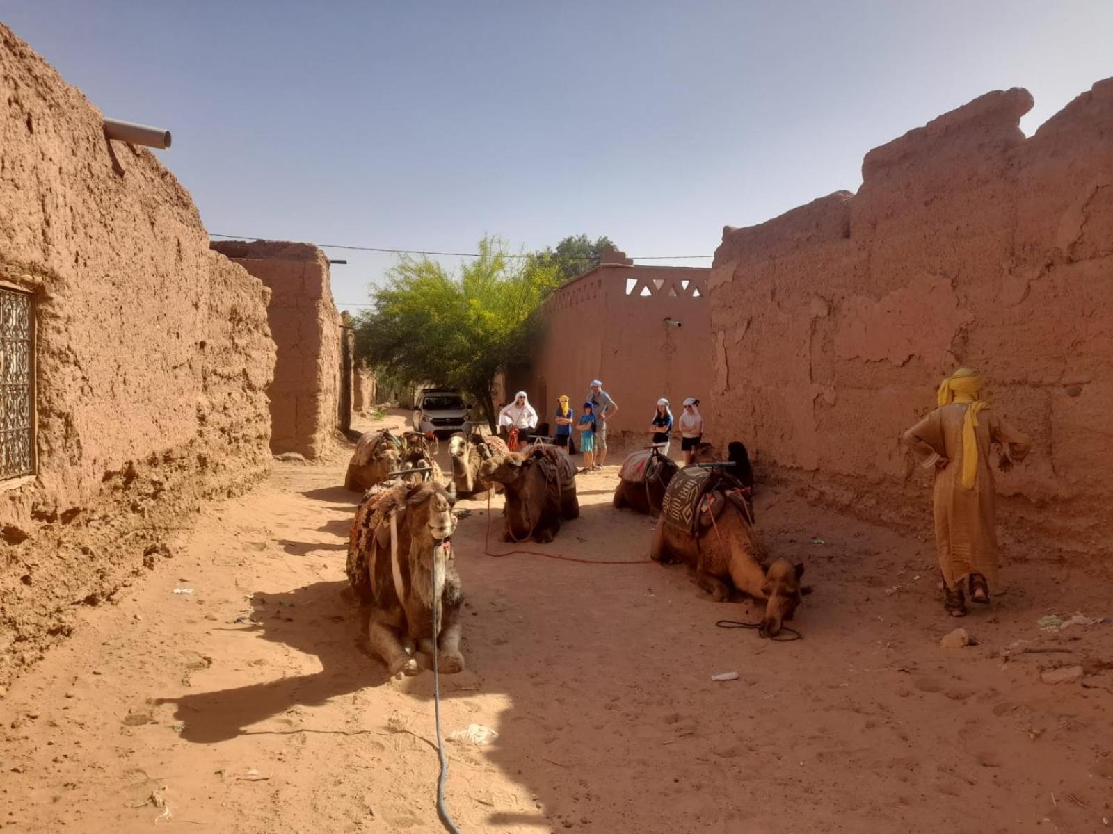 Hostel sahara Zagora Bagian luar foto