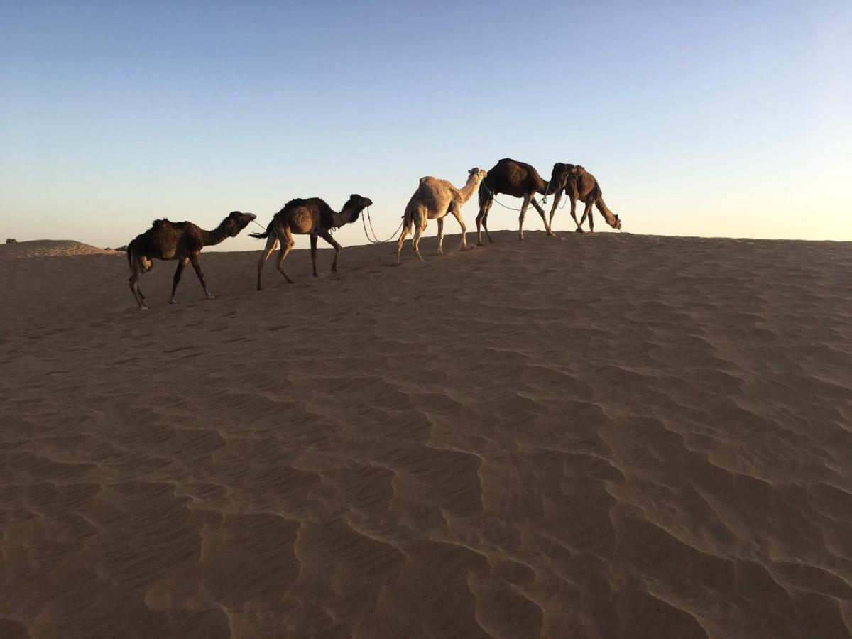 Hostel sahara Zagora Bagian luar foto